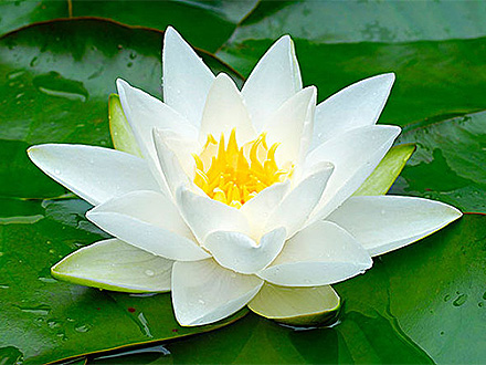 凯发k8天生赢家一触即发官网